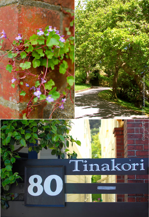 Tinakori Road sign