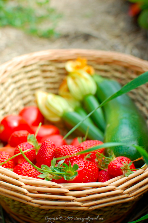 Strawberries and zucchini basket