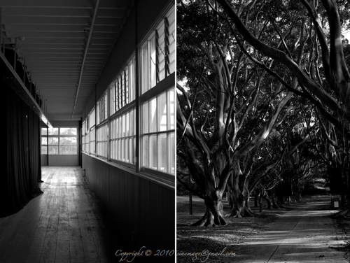 Sinemage Black & White Diptych Space In and Out