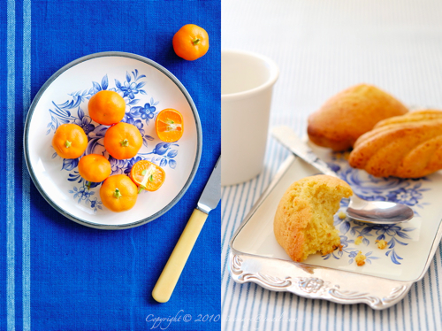 Sinemage Kumquat and madeleines