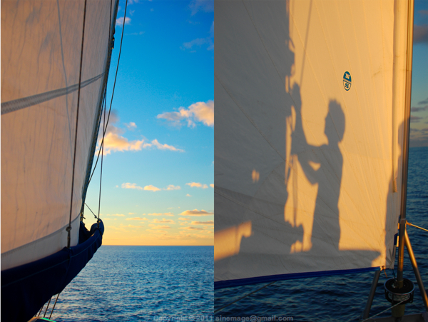 Sinemage Sail and sunset light