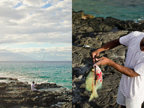 © 2012 Viviane Perenyi Fishing Reunion Island