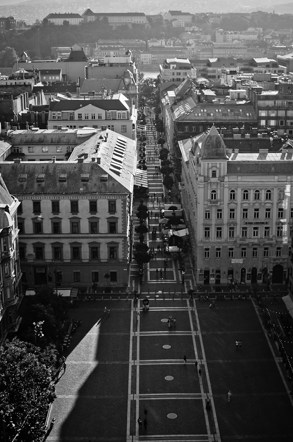 © 2012 Viviane Perenyi - View From St Stephen Basilica Budapest Hungary
