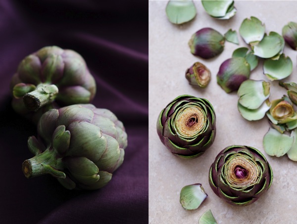 Artichoke | At Down Under | Viviane Perenyi