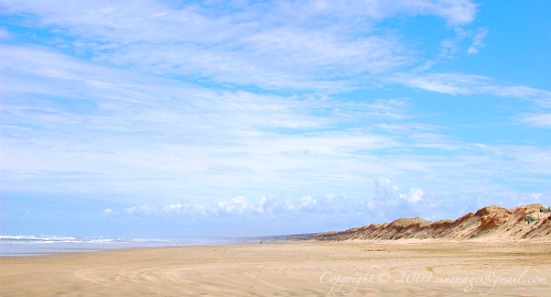 90 Mile Beach Northland New Zealand