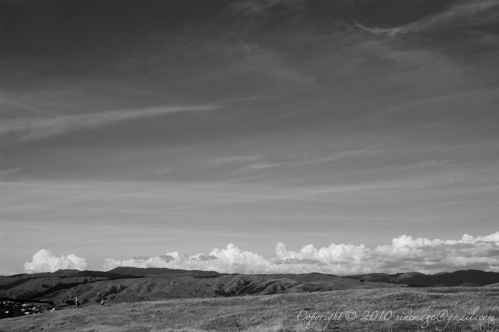 Black and white landscape