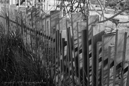 Sinemage wood fence 