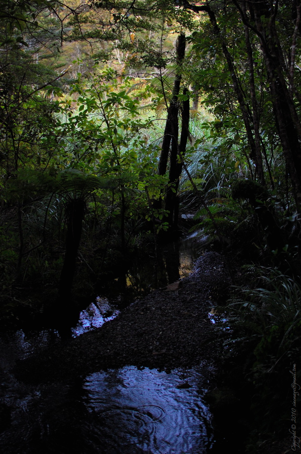 Sinemage Donnely Flat Wairarapa