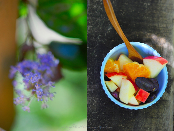 Sinemage diptych flower and fruit salad