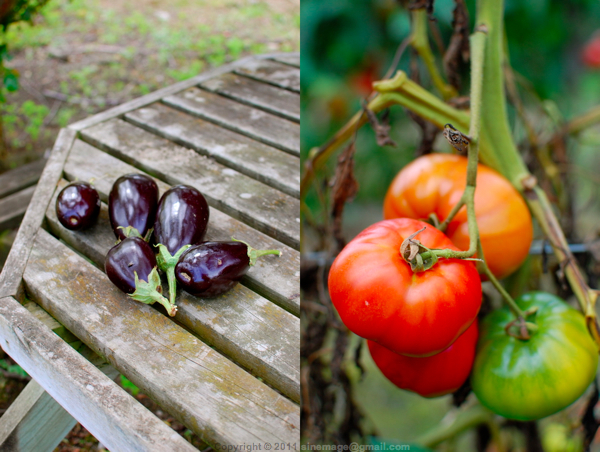 Sinemage Eggplant & Tomatoes