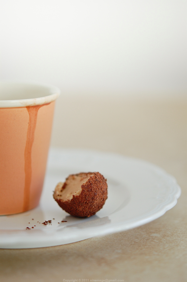 Sinemage Chestnut and chocolate truffle closeup