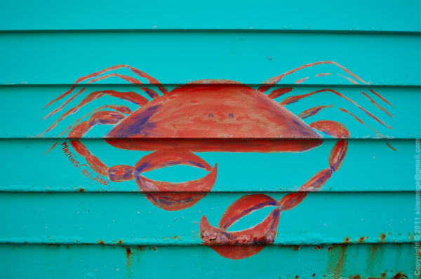 Sinemage Crab painting 