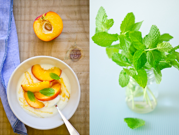 © 2011 Viviane Perenyi Peach Yogurt & Mint