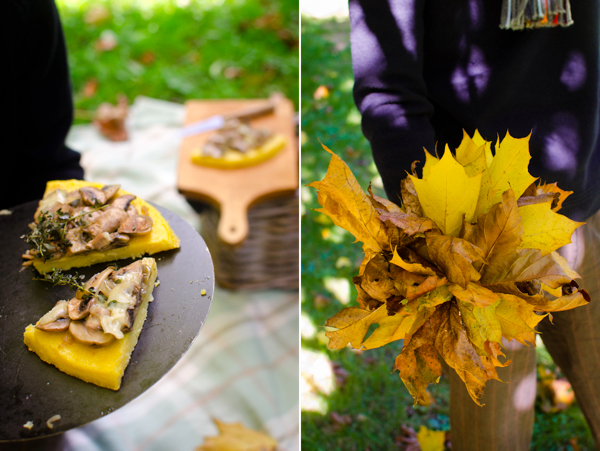 © 2012 Viviane Perenyi Autumn Picnic Polenta & Mushroom Tart