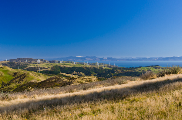 © 2012 Viviane Perenyi Mount Kaukau Looking Towards South Island NZ