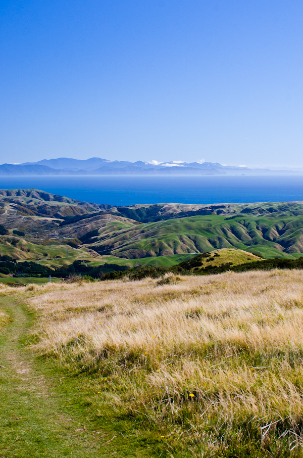 © 2012 Viviane Perenyi Mount Kaukau Wellington New Zealand