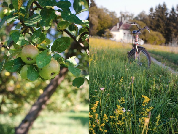 © 2012 Viviane Perenyi - Őrség Hungary Apples and Bike in the Meadow