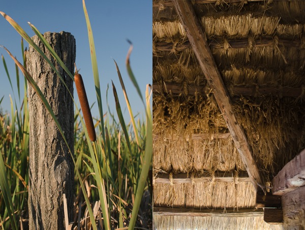 © 2012 Viviane Perenyi - Őrség Hungary Reed Plant and Thatched Roof