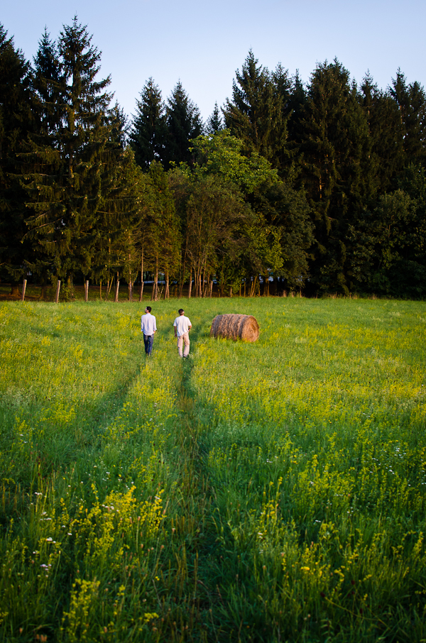 © 2012 Viviane Perenyi - Őrség Hungary Walking Through the Meadow