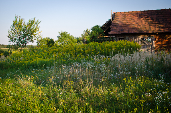 © 2012 Viviane Perenyi - Őrség Countryside Hungary