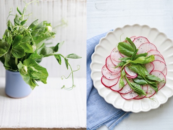 Snow Pea Shoot and Radish Salad | At Down Under | Viviane Perenyi