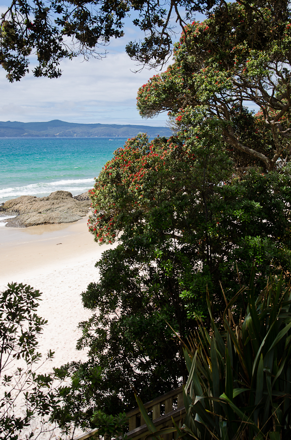 Otama Beach Coromandel New Zealand | At Down Under | Viviane Perenyi 