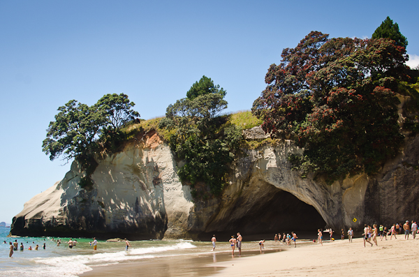 Cathedral Cove Coromandel New Zealand | At Down Under | Viviane Perenyi 