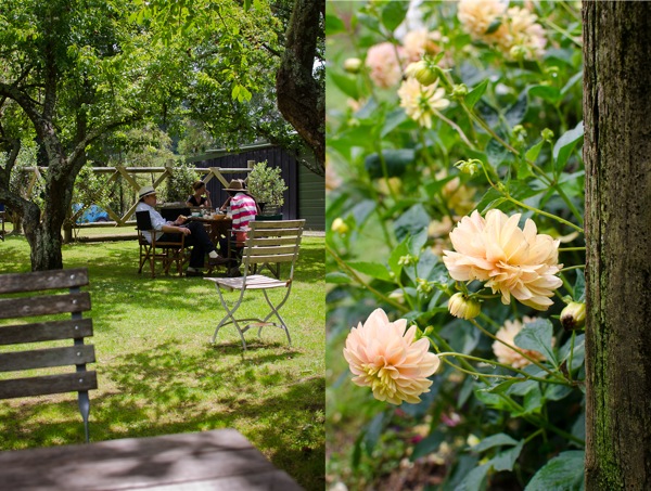 Gardens Coromandel New Zealand | At Down Under | Viviane Perenyi 