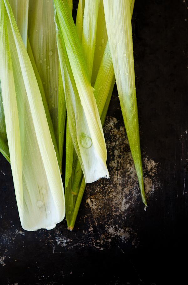 Corn Husks | At Down Under | Viviane Perenyi 