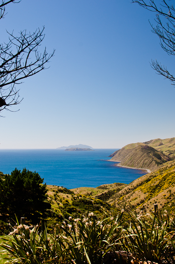 West Wind Makara Wellington | At Down Under | Viviane Perenyi