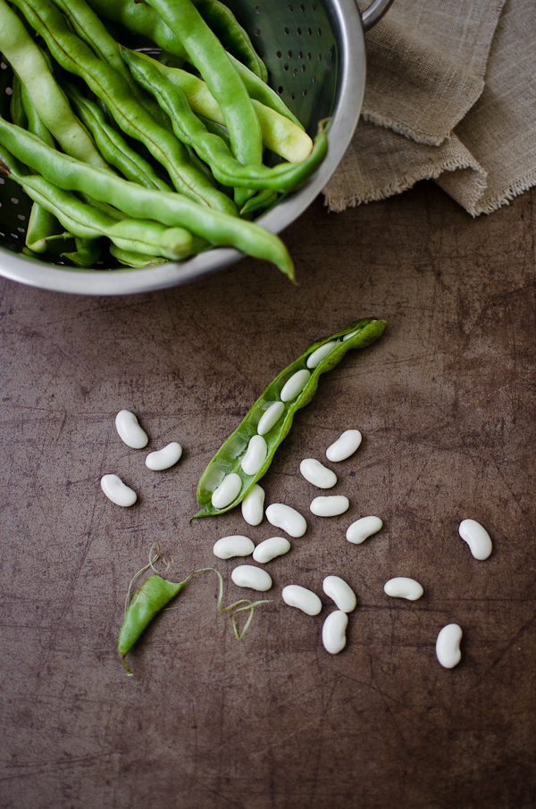White Shelling Beans | At Down Under | Viviane Perenyi 
