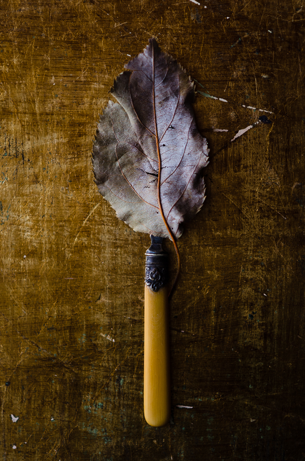 Spoon and Leaf Still Life| At Down Under | Viviane Perenyi