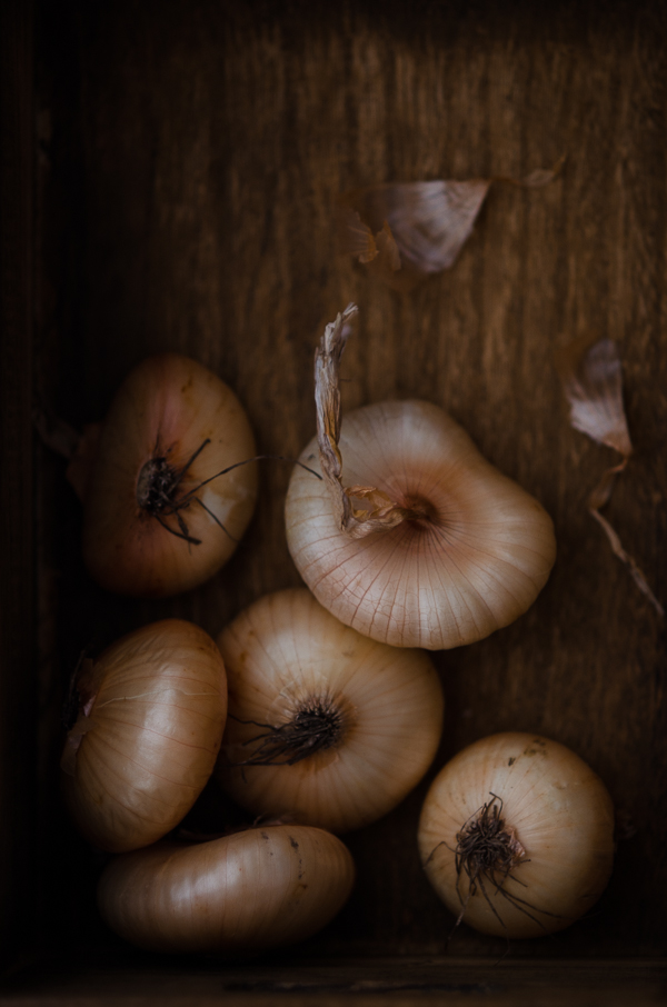 Cipollini Onions | At Down Under | Viviane Perenyi